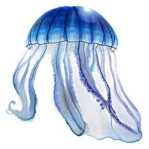 Moon Jelly Under Moonlight PNG 5