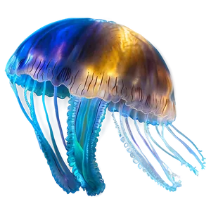 Moon Jelly With Aquatic Glow PNG 95