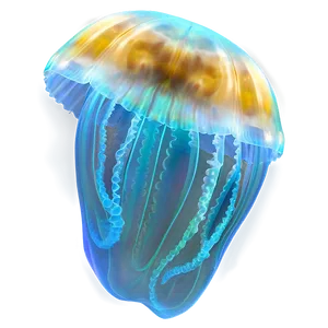 Moon Jelly With Aquatic Glow PNG Ymp PNG