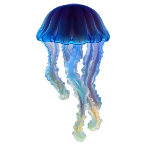 Moon Jelly With Aurora Effect PNG Oqb60 PNG