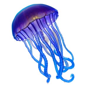 Moon Jelly With Enchanting Tentacles PNG Cnf33 PNG