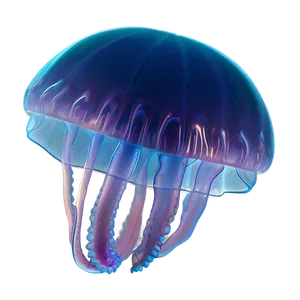 Moon Jelly With Ethereal Glow PNG Elm