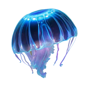 Moon Jelly With Oceanic Flare PNG Sue