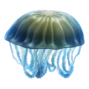 Moon Jelly With Starry Background PNG 61 PNG