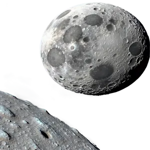 Moon Surface With Bizarre Alien Life PNG Vms