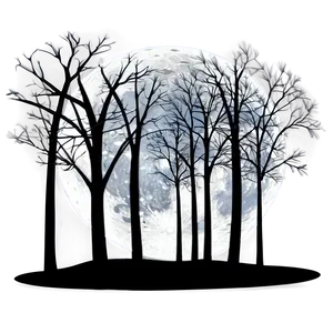 Moonlit Silhouette Trees PNG 05042024