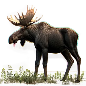 Moose And Forest Birds PNG Ujq PNG
