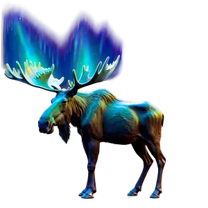 Moose And Northern Lights PNG Prm PNG