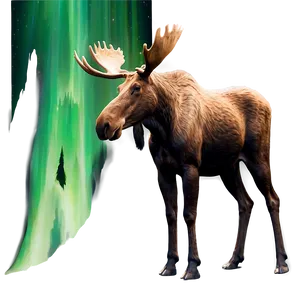 Moose And Northern Lights PNG Vio17 PNG