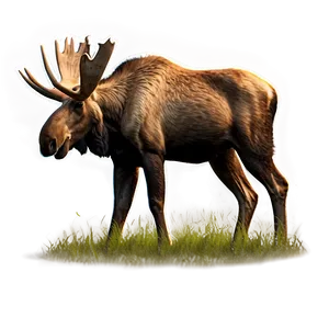 Moose Grazing Scenery PNG Syo13 PNG
