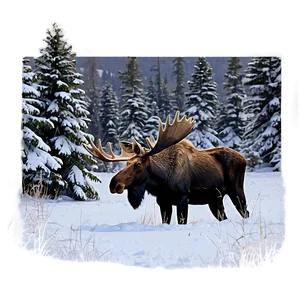 Moose Head In Snowy Landscape PNG Wgn