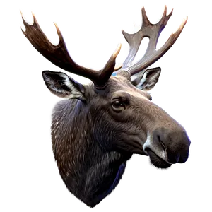 Moose Head Profile View PNG Dsr4 PNG