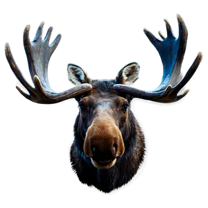 Moose Head Silhouette With Background PNG 06292024