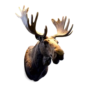 Moose Head Wall Mount PNG 15