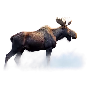 Moose In Thick Fog Png 05242024 PNG image