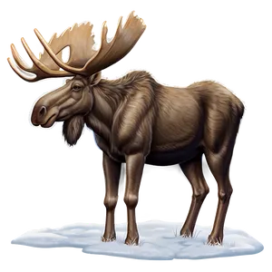 Moose In Winter Wonderland Png 05242024 PNG image