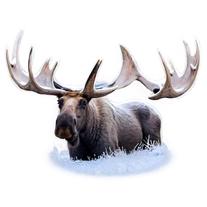 Moose In Winter Wonderland PNG Oov7 PNG