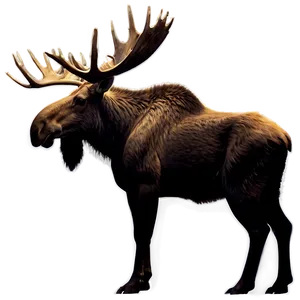 Moose Silhouette Profile Png Xqb PNG image