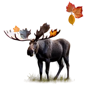 Moose With Autumn Background Png Obj45 PNG image