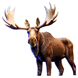 Moose With Large Antlers PNG Ibu PNG