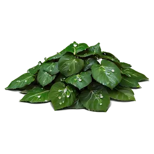 Morning Dew Leaf Pile PNG 06202024