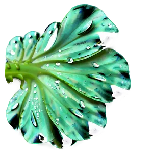 Morning Dew Petals PNG 06292024 PNG
