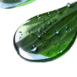 Morning Dew Raindrop PNG 06202024