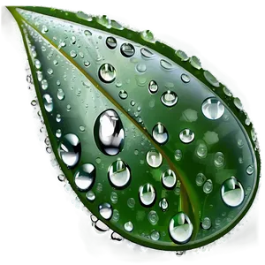 Morning Dew Raindrop PNG 27 PNG
