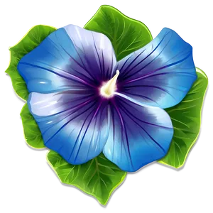 Morning Glory Flower Drawing PNG Wfi23 PNG