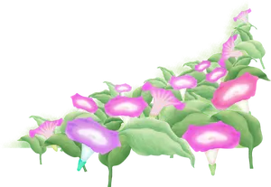 Morning Glory Flowers Transparent Background PNG image