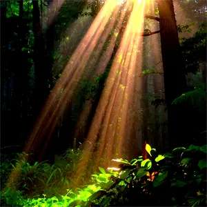Morning Sun Rays PNG Bit