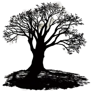 Morning Tree Shadow Png 19 PNG image