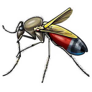 Mosquito Anatomy Png Ajy PNG image