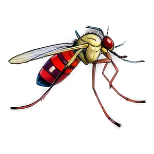 Mosquito Anatomy Png Dpa PNG image