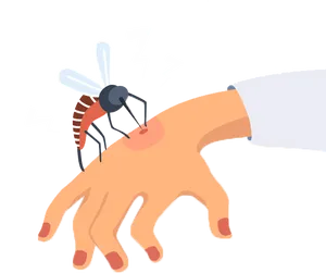 Mosquito Biting Hand Illustration PNG image
