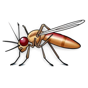 Mosquito Clipart Png 05242024 PNG image