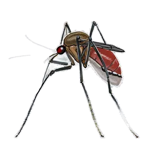 Mosquito Disease Png 05242024 PNG image