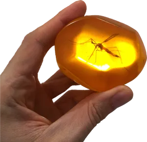 Mosquito Encasedin Amber PNG image