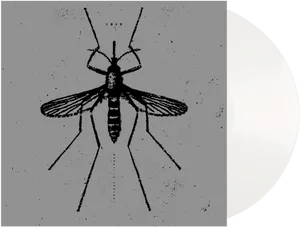 Mosquito Illustration Blackand White PNG image
