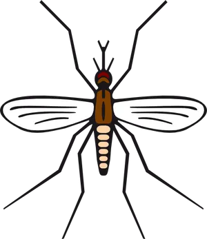 Mosquito Illustration Vector PNG image