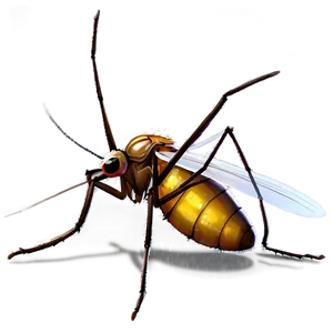 Mosquito In Amber Png Kge PNG image