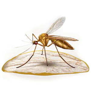 Mosquito On Leaf Png Iad37 PNG image