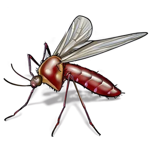 Mosquito On Skin Png 9 PNG image