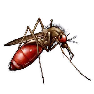 Mosquito On Skin Png Hhk PNG image