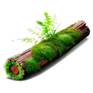 Mossy Log Png Jjl PNG image