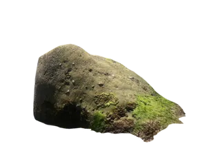 Mossy Rockon Black Background