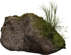 Mossy Rockwith Grass Clump PNG image