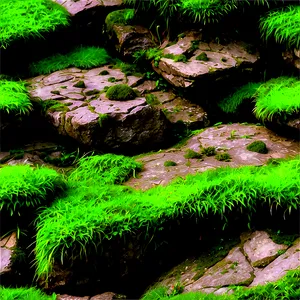 Mossy Stone Texture PNG Moo