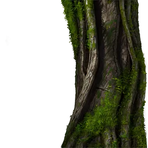 Mossy Tree Trunk PNG 05242024