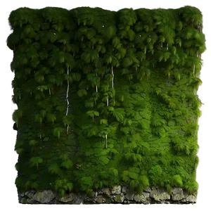 Mossy Wall Texture PNG 05242024